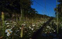 La météo du jour en Corse