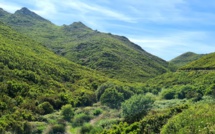 La météo du jour en Corse