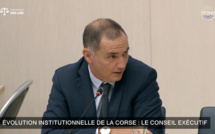 Processus d’autonomie : La plaidoirie de Gilles Simeoni devant la commission des lois du Sénat