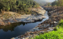 Le Cap-Corse-Nebbio et la Plaine orientale placés en alerte sécheresse : 137 communes concernées