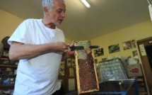 Santa Lucia di Mercoriu : L’instit qui murmurait à l’oreille des abeilles