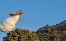 Incendie à Castello-di-Rostino : 2 hectares brûlés et des dizaines d'hectares menacées