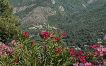 La météo du jour en Corse