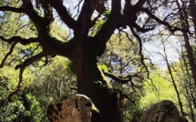 La photo du jour : la force de la nature