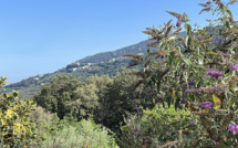 La météo du jour en Corse