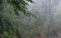 La météo du jour en Corse