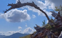 La météo du jour en Corse