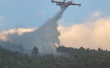 Binsinchi : le feu détruit 3 hectares de maquis