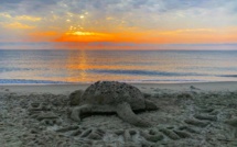 La photo du jour : tortue de... sable sur la plage de Cap Sud à Venzolasca