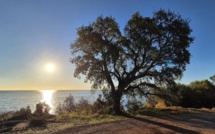 La météo du jour en Corse