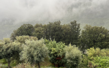 La météo du jour en Corse