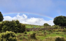 La météo du jour en Corse