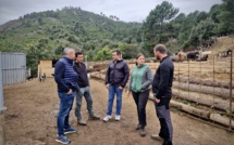 Coordination rurale Corsica et Jeunes agriculteurs : une alliance pour la présidence de la Chambre d’agriculture régionale