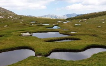 Loto de la biodiversité : un projet retenu en Corse