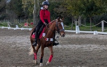 Poggio di Venaco : Une belle réussite pour la deuxième étape du circuit régional de dressage 