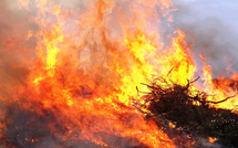 Dans l'Extrême-Sud, de fortes présomptions d’écobuage après une dizaine de départs de feux, durant la tempête