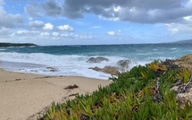 La météo du jour en Corse