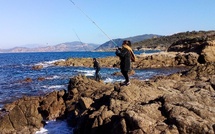 La pêche de loisir désormais limitée en quantité dans le parc marin du Cap Corse