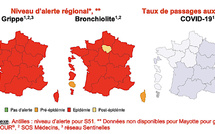 Grippe : la Corse en phase épidémique aiguë