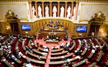 Autonomie de la Corse : Le sénateur Paulu-Santu Parigi évoque des « couacs » dans la fin des travaux de la mission d’information du Sénat