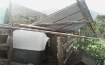 Le refuge SPA de Calvi victime de la tempête