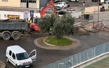 Bastia : une rupture de canalisation prive une partie de la ville d’eau