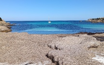 La photo du jour : La plage de l’Alga