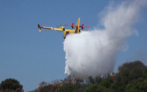 Corte : Le feu dans le secteur du Tavignanu. Une vingtaine d'hectares parcourus