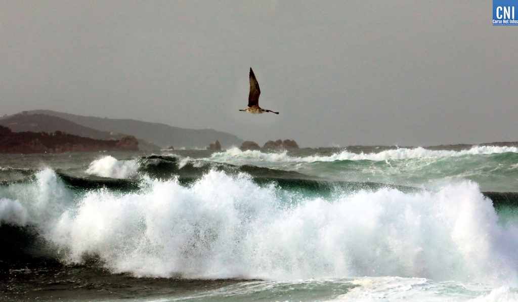 Tempête golfe Ajaccio.4